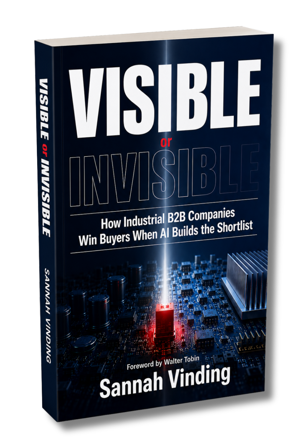 Visible or Invisible book cover