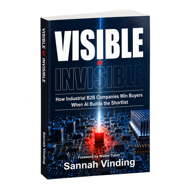 Visible or Invisible book cover by Sannah Vinding